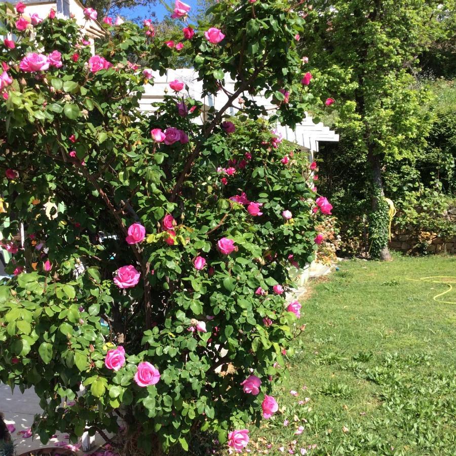Bienvenue Chez Alain Et Marie Daire Antibes Dış mekan fotoğraf